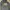 DogTown Vintage Skater Track jacket Pria black photo 2