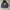 DogTown Vintage Skater Track jacket Pria black photo 1