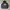 DogTown Vintage Skater Track Jacket Pria Black