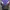 Vintage Sportswear Windbreaker Pria purple gray photo 3