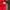School Of Hard Knocks Vintage Streetwear T-shirt Pria red photo 4