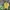 Alstyle Vintage Casual T-shirt Pria yellow photo 1
