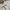 Nike Vintage Jersey Pria white photo 1