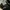 Adidas Streetwear Sportswear Sneakers Pria Black