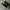 Adidas Streetwear Sportswear Sneakers Pria black photo 1