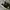 Adidas Streetwear Sportswear Sneakers Pria Black
