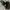 Adidas Streetwear Sportswear Sneakers Pria black photo 5