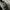 Adidas Streetwear Sportswear Sneakers Pria black photo 3