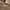 Von Dutch Streetwear Y2K T-shirt Pria tan brown photo 2