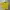 Reebok Sportswear Jersey Pria yellow photo 1