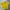 Reebok Sportswear Jersey Pria yellow photo 2