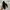 The North Face Vintage Casual Sneakers Wanita black photo 3