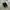 The North Face Vintage Casual Sneakers Wanita Black