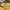 Sportswear Jersey Pria yellow photo 6