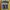 Sportswear Jersey Pria yellow photo 5