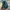 Streetwear Sportswear Pria green photo 4