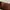 Burberry Y2K Bag Pria brown photo 2