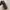 Burberry Y2K Bag Pria brown photo 3