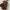 Burberry Y2K Bag Pria brown photo 4