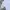 JNCO Y2K Skater Casual shirt Pria silver white photo 6
