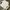 Evisu Streetwear Sportswear Sweater Pria white photo 7