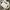 Evisu Streetwear Sportswear Sweater Pria white photo 1