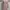 Casual Midi dress Wanita multicolor photo 2