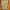 Uniqlo Casual Sweatshirt Wanita brown photo 1