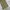 H&M Vintage Y2K Jeans Pria green photo 5