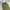 H&M Vintage Y2K Jeans Pria green photo 4