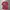 Nike Sportswear Jersey Pria red photo 2