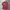 Nike Sportswear Jersey Pria Red