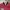 Nike Sportswear Jersey Pria red photo 4