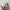Kangol Vintage Y2K Hat Pria cream photo 1