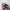 Kangol Vintage Y2K Hat Pria tan photo 2