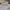 Adidas Sportswear Jersey Pria white red photo 4
