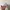 Kangol Vintage Y2K Hat Pria white photo 2