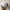 Kangol Vintage Y2K Hat Pria white photo 1