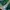 Nike Y2K Sportswear Jersey Pria green yellow photo 2