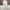 Spao Streetwear Casual Casual pants Pria white photo 3