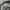 Vintage Y2K Jeans Pria white gray photo 2