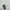 Casual Windbreaker Pria white photo 2