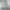 Casual Windbreaker Pria white photo 1