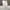 Gramicci Streetwear Casual Casual pants Pria white photo 2