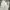 Gramicci Streetwear Casual Casual pants Pria white photo 5