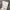 Gramicci Streetwear Casual Casual pants Pria white photo 4