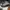 Vintage Sneakers Pria white black photo 3