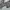 Vintage Parka Pria gray photo 2