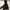 Head Gorpcore Casual Parka Pria gold black photo 1