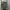 Calvin Klein Luxury Casual Polo Shirt Pria Gray